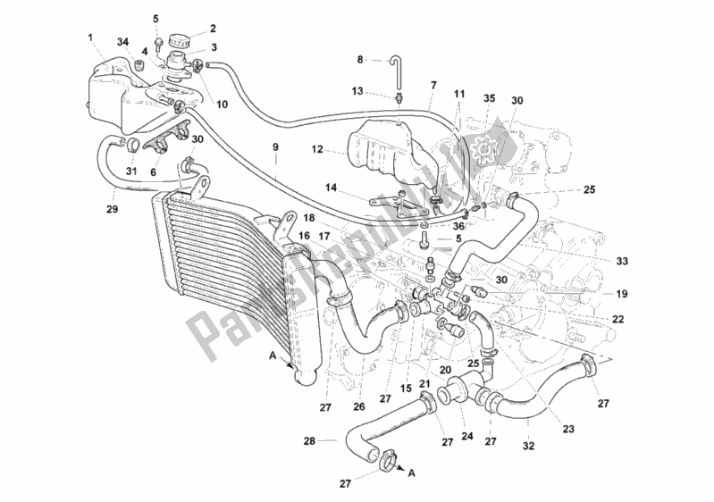 All parts for the Cooling Circuit of the Ducati Superbike 996 SPS II 1999